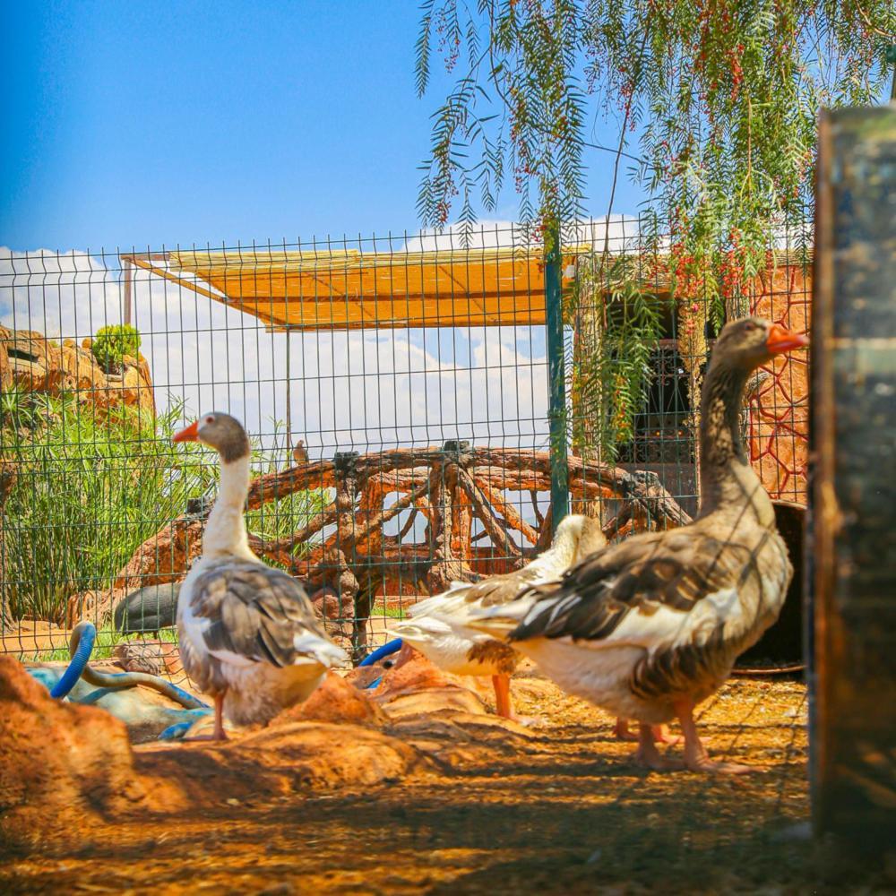 Hotel Jnane Riad Douar Akkara 외부 사진